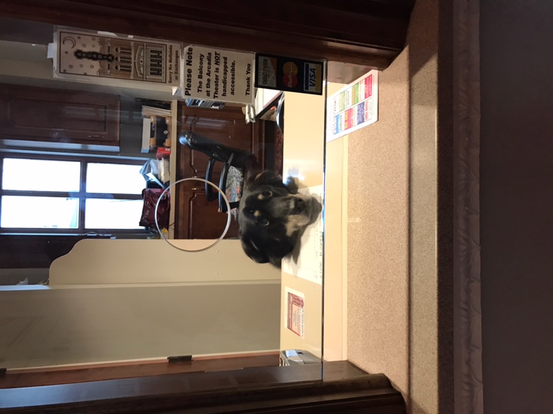 Shade at Box Offic Arcadia Theatre