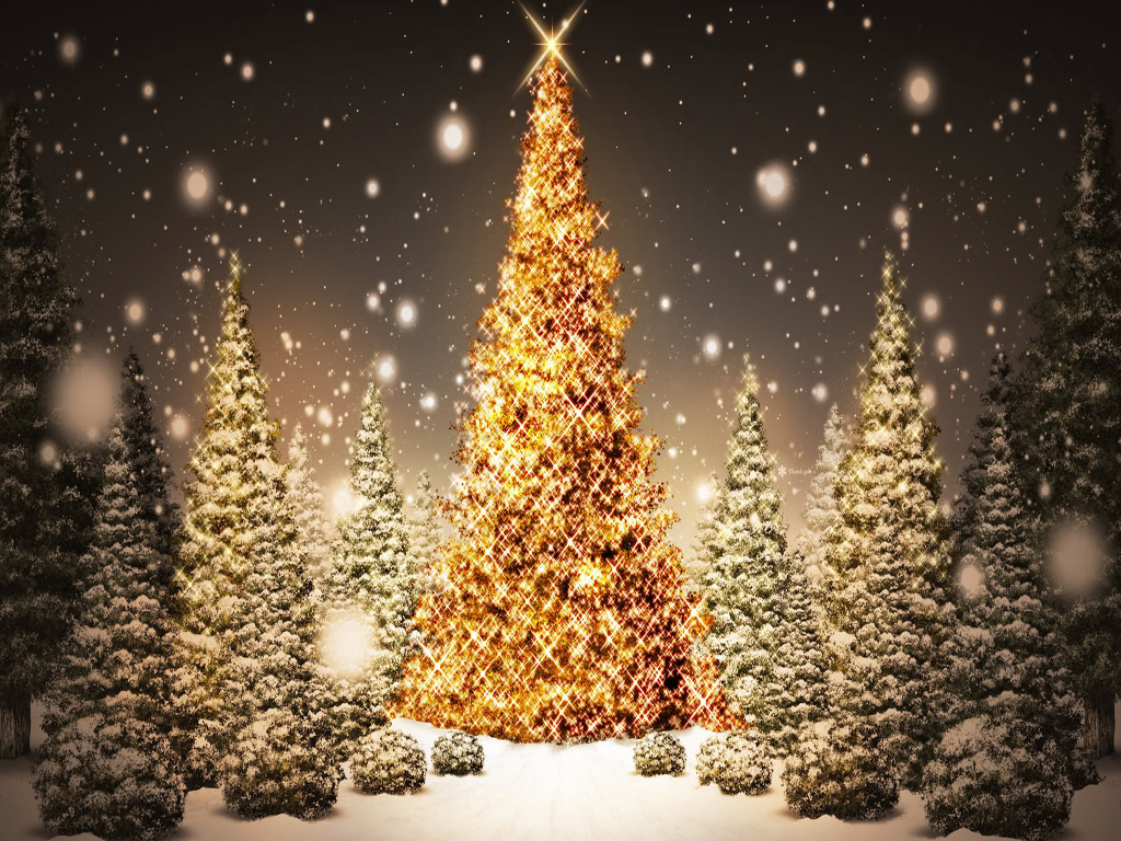 beautiful-Christmas-Trees 02 - Arcadia Theatre